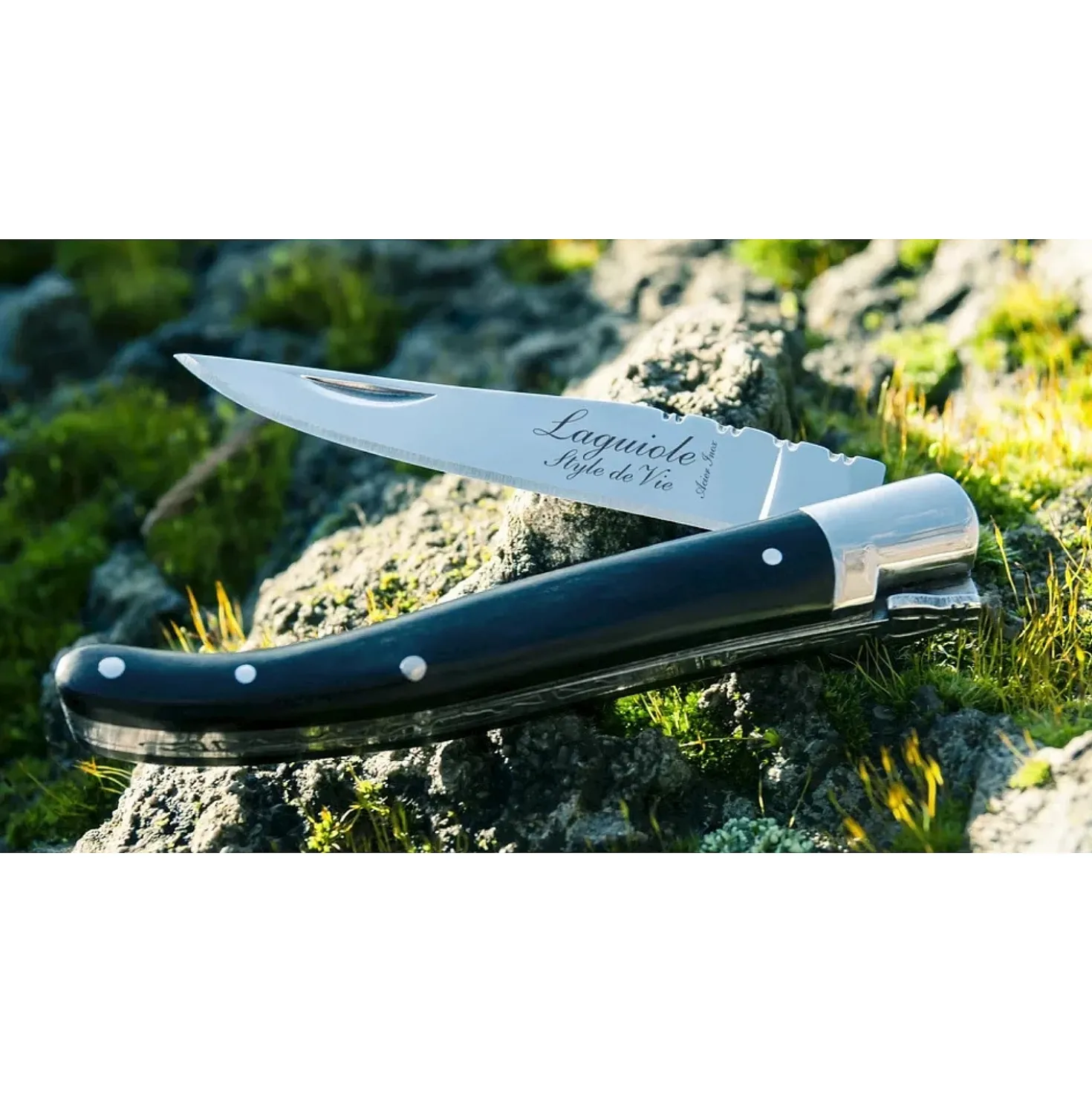 Laguiole Style de Vie Zakmes met Ebbenhout