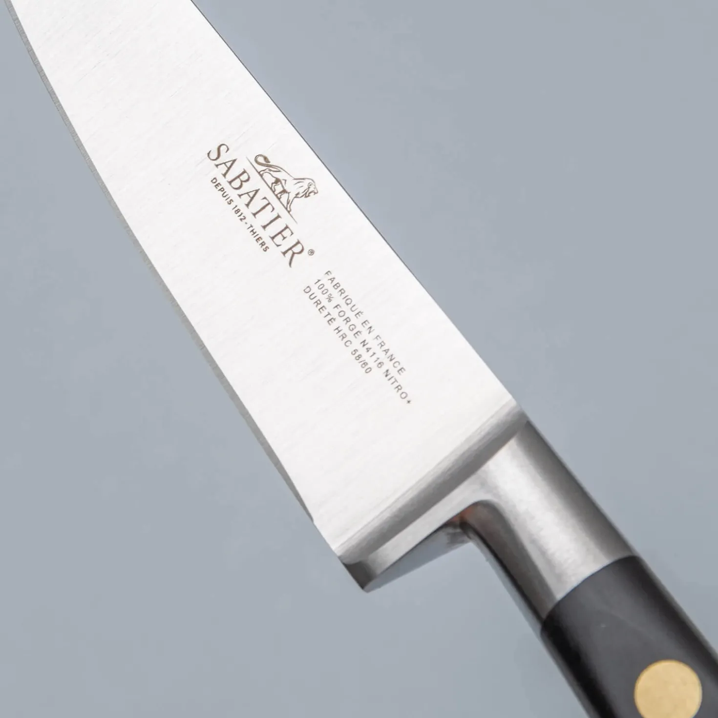 Lion Sabatier Ideal POM Groentemes 10 cm
