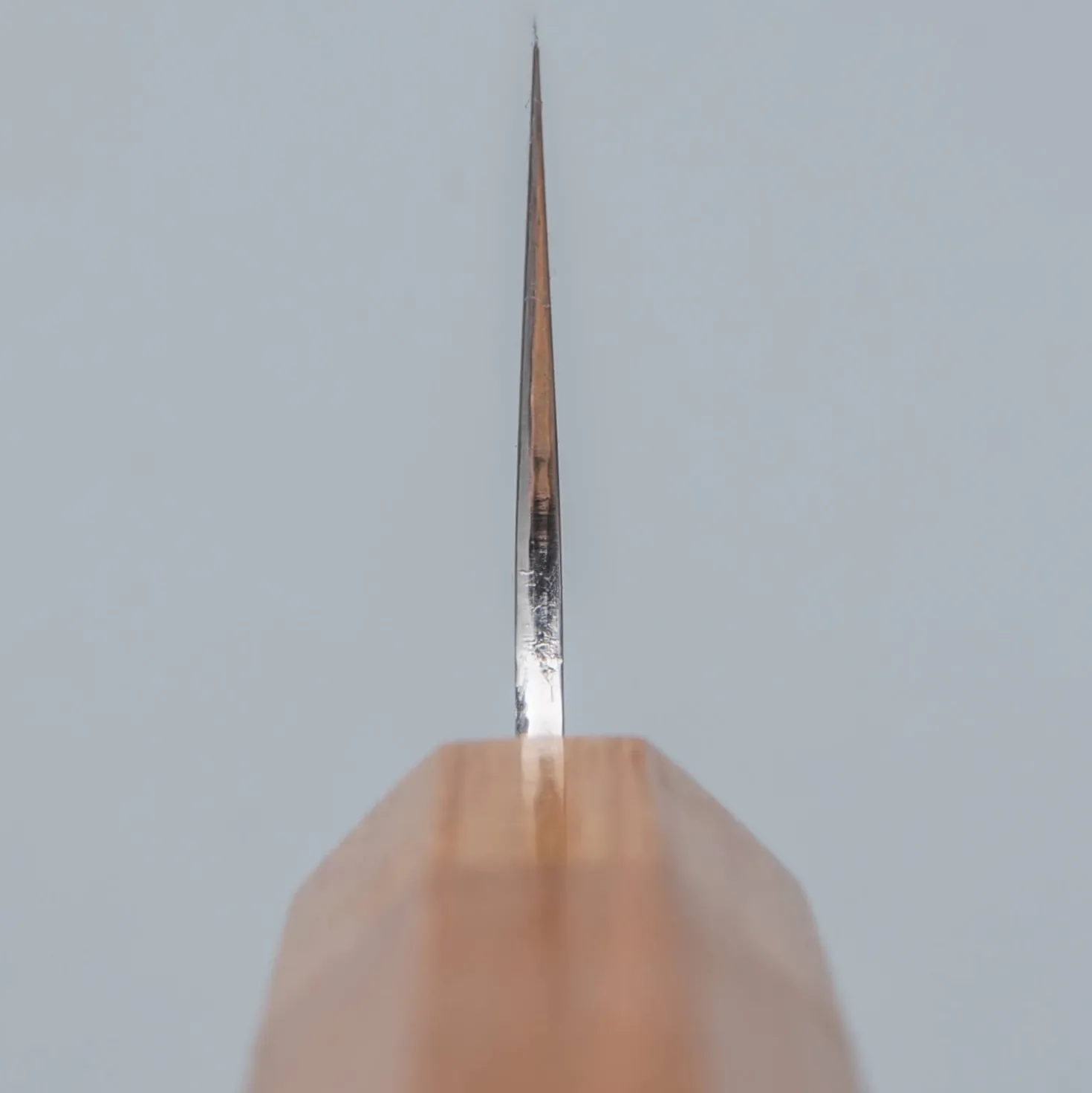 Makoto Kurosaki Sakura Bunka 18 cm