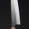 Makoto Kurosaki SG2 Tsuchime Gyuto 240