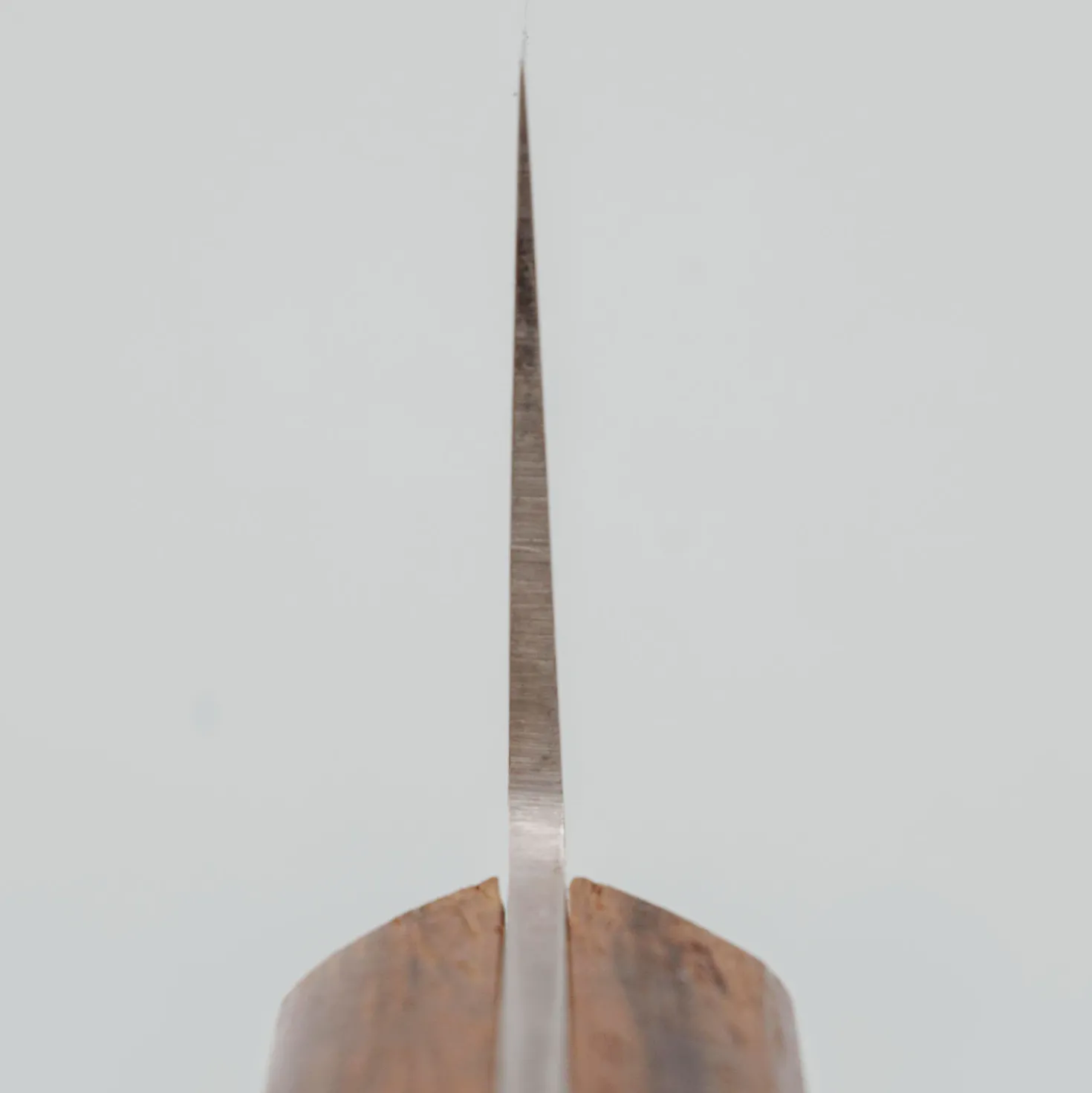 Masahiro Carbon Rosewood Gyuto 21 cm