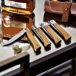Messermeister Vouwbare Steakmessen met Foudraal (set van 4)
