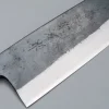 Muneishi Aogami 2 Iron Damast Gyuto 21 cm