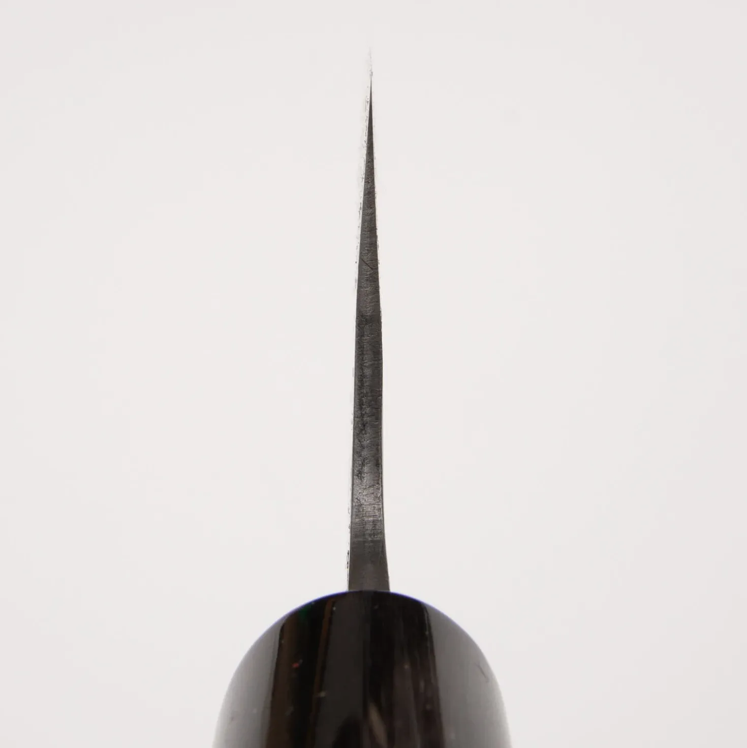 Mutsumi Hinoura Aogami #2 Migaki Gyuto 210