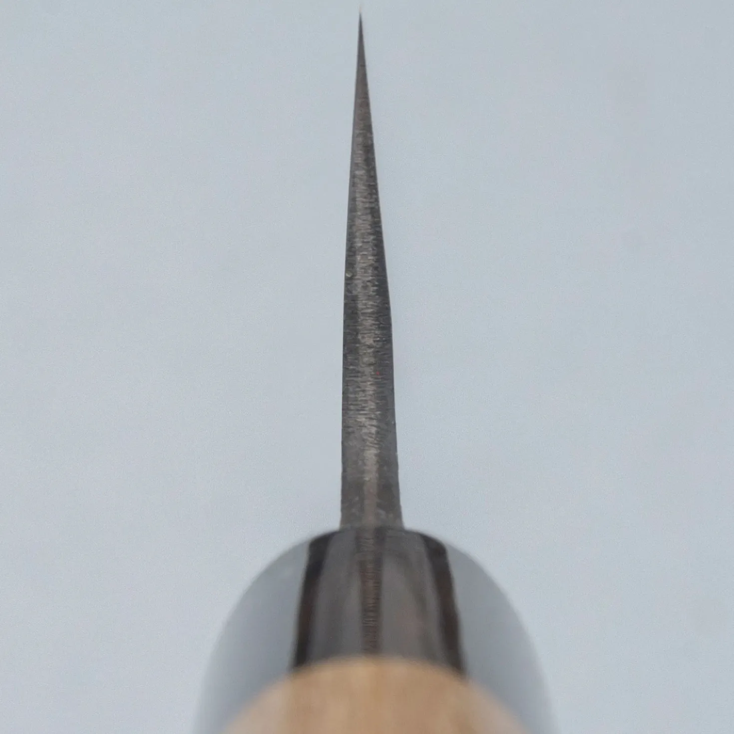 Mutsumi Hinoura Shirogami Kurouchi Magnolia Sujihiki 24 cm