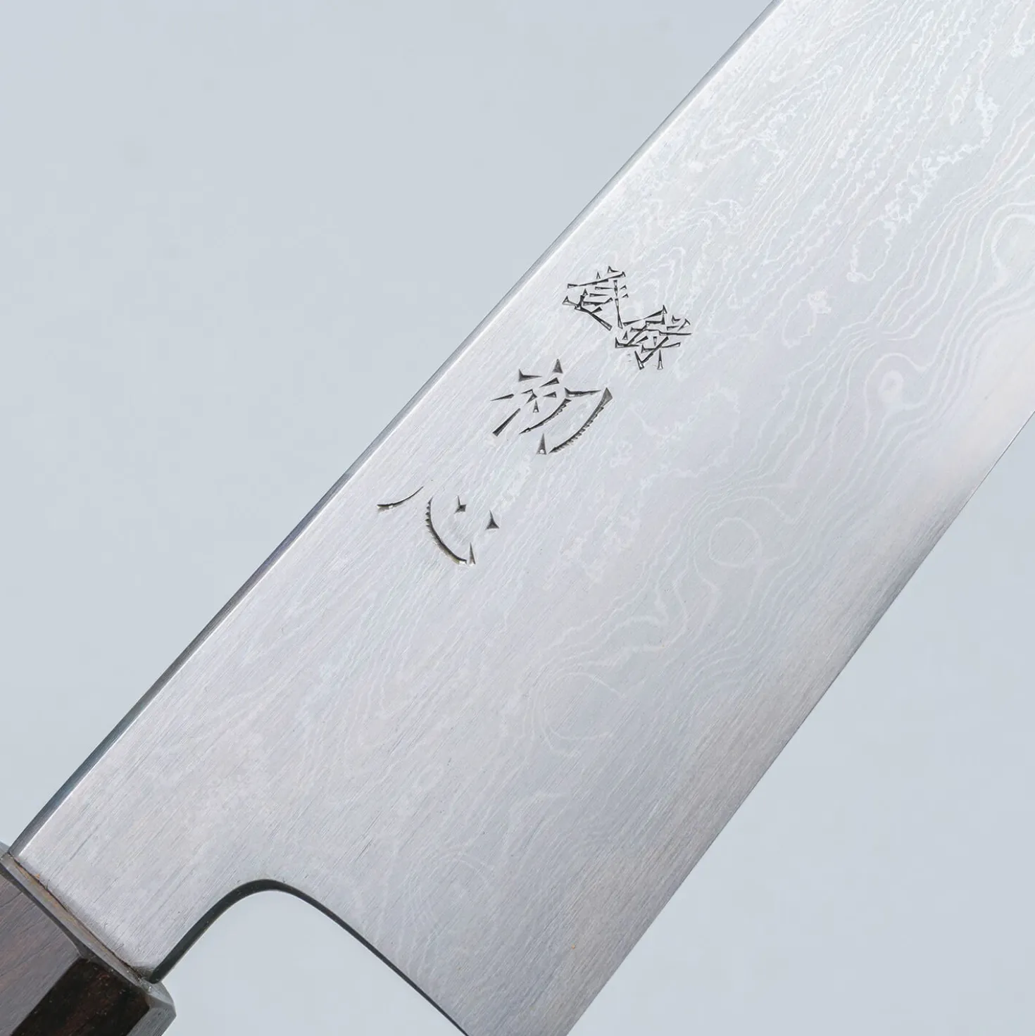 Nakagawa Satoshi Aogami #1 Damast Ebony Gyuto 24 cm