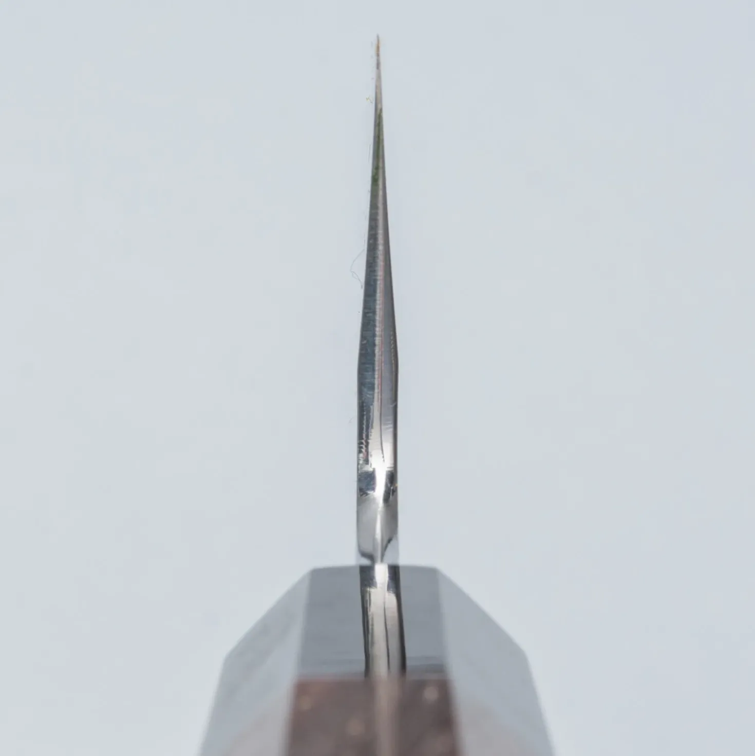 Nakagawa Satoshi Aogami #1 Migaki Gyuto 25.5 cm