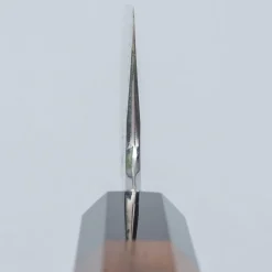 Nakagawa Satoshi Aogami #1 Migaki Gyuto 22.5 cm