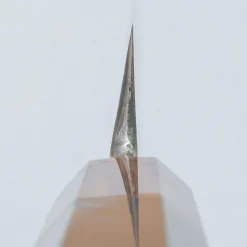 Nakagawa Satoshi Aogami #1 Sakimaru Yanagiba 30 cm