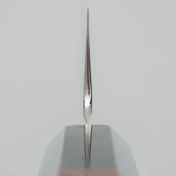 Nakagawa Satoshi Silver3 Kiritsuke 21 cm