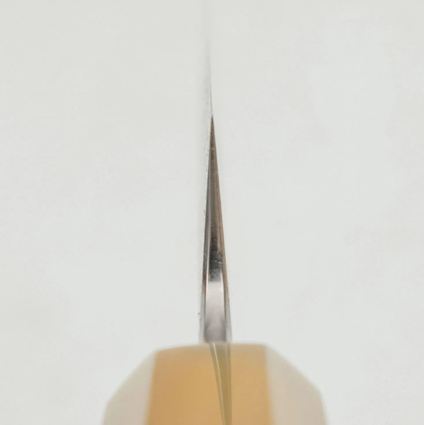 Nakagawa Satoshi x Myojin Aogami #1 Sujihiki 33 cm