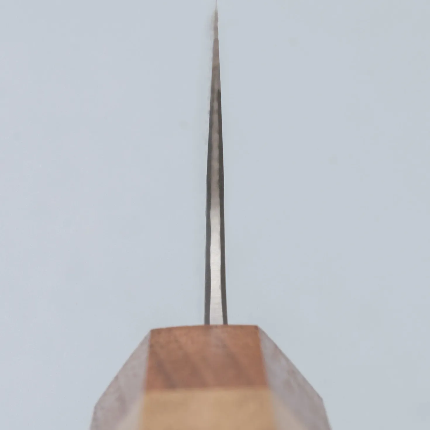 Naoki Mazaki Migaki Shirogami #2 Gyuto 21 cm