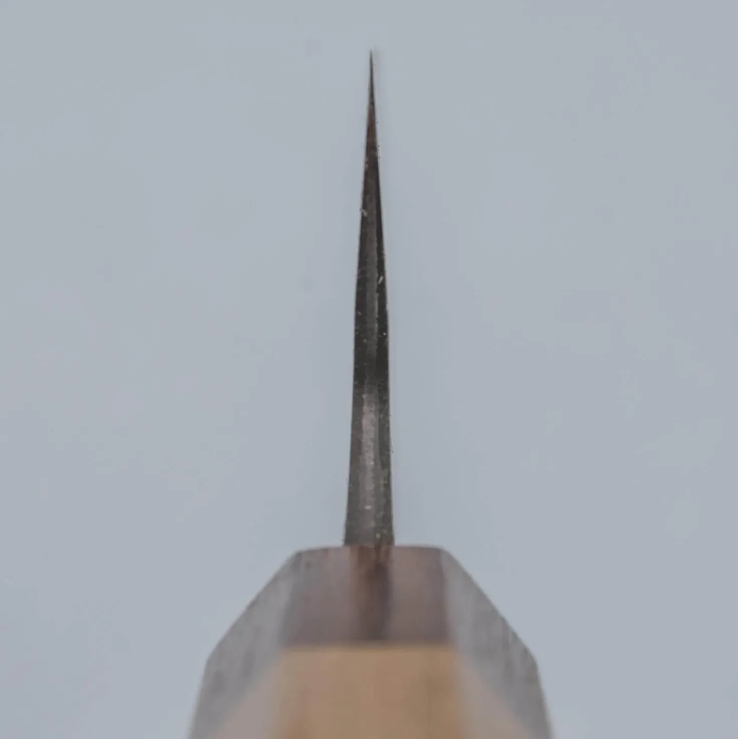 Naoki Mazaki Shirogami #2 Gyuto 21 cm
