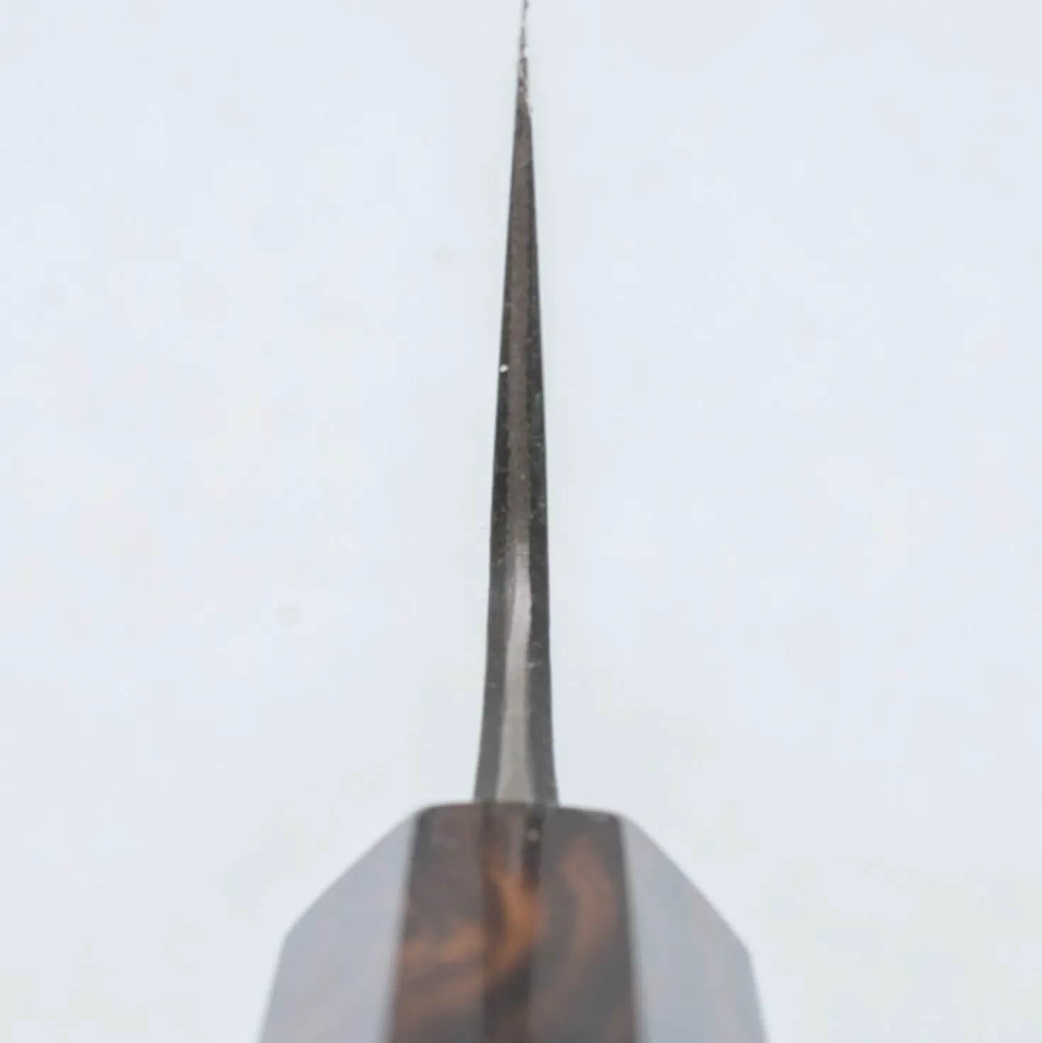 Naoki Mazaki Shirogami #2 Kurouchi Ebony Gyuto 24 cm