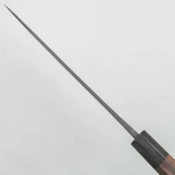 Nao Yamamoto Aogami #2 Kurouchi Gyuto 21 cm