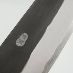 Nao Yamamoto Aogami #2 Kurouchi Gyuto 21 cm