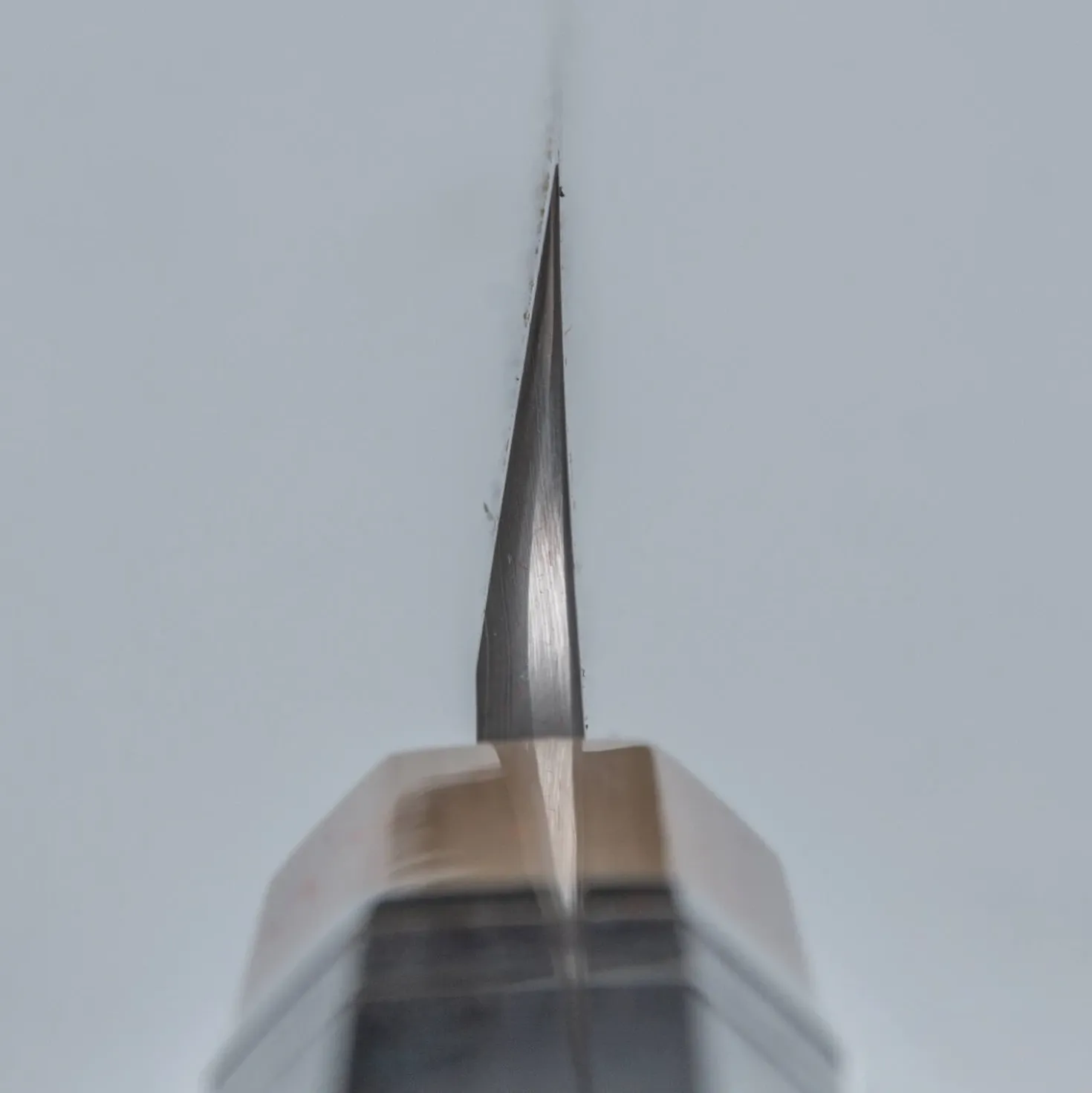 Nigara Aogami #2 A2/W2 Migaki Yanagiba 24 cm