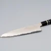 Nigara Aogami #2 Rainbow Gyuto 24 cm