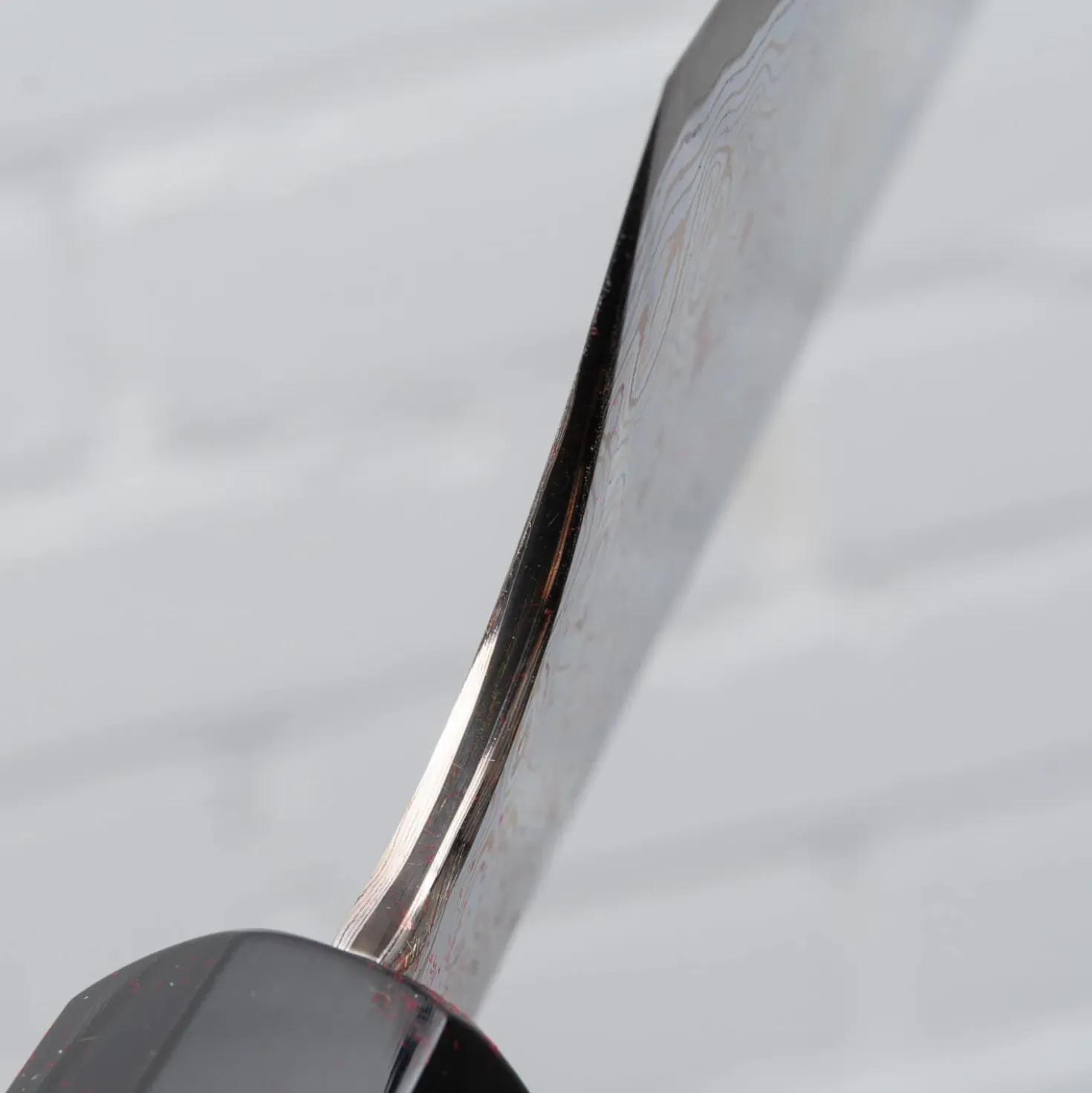 Nigara Aogami #2 Rainbow Gyuto 24 cm