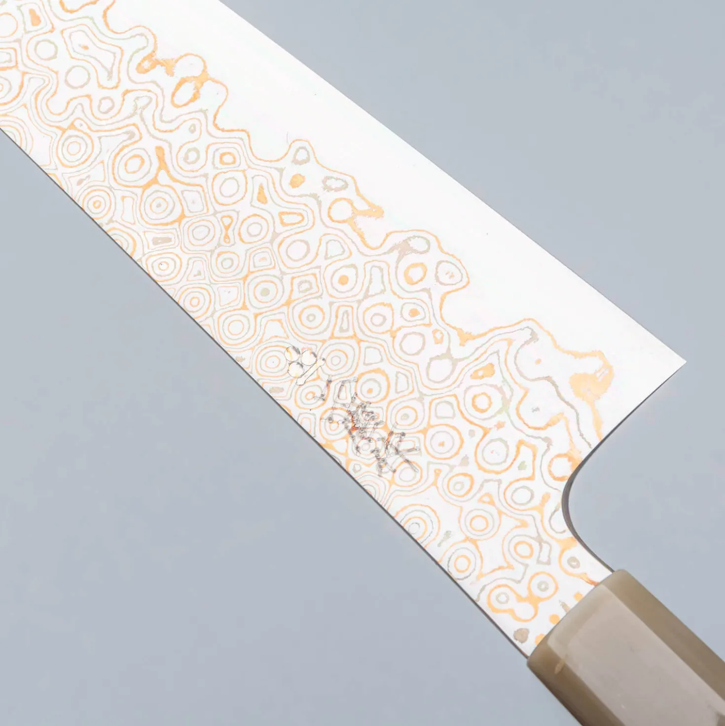 Nigara Aogami #2 Rainbow x Myojin Gyuto 21 cm
