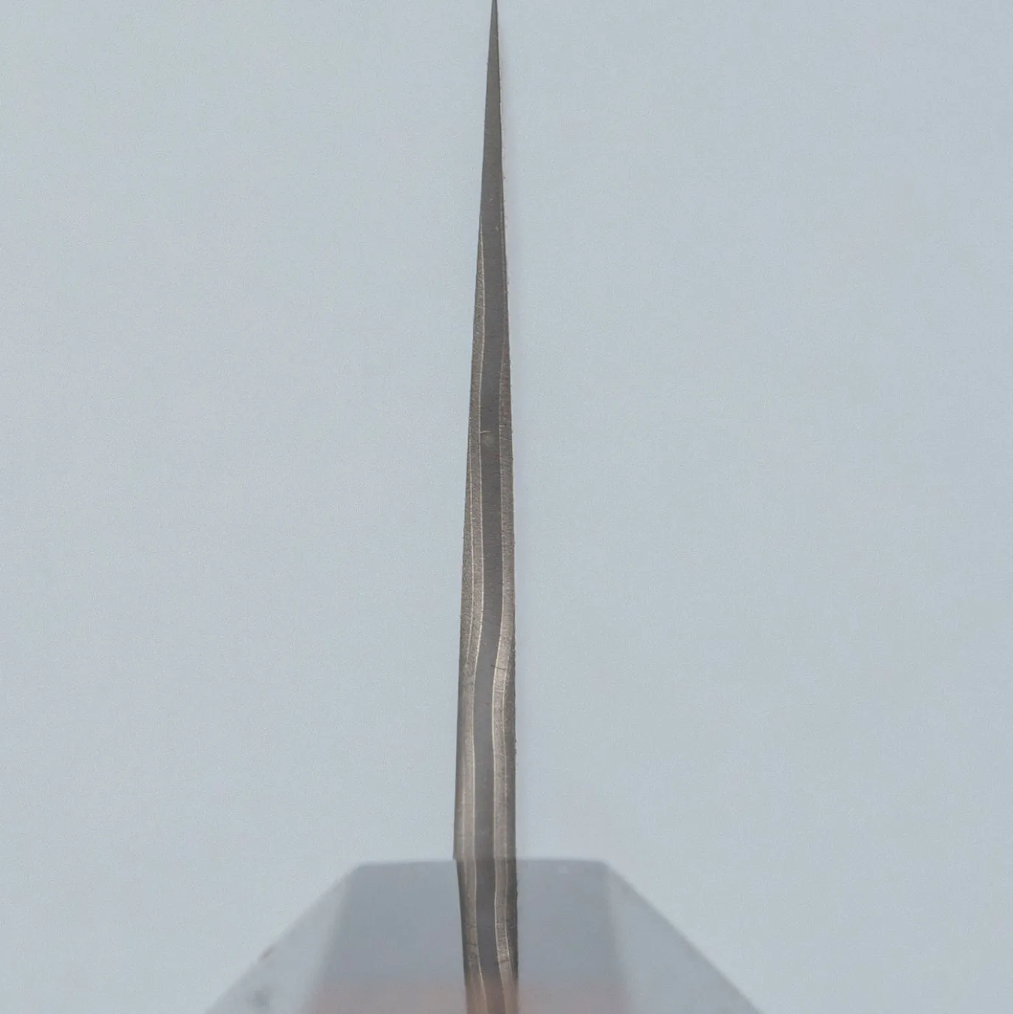 Nigara SG2 Damast Walnut Gyuto 24 cm