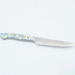 Nigara SG2 Kasumi Abalone Steakmes 13 cm