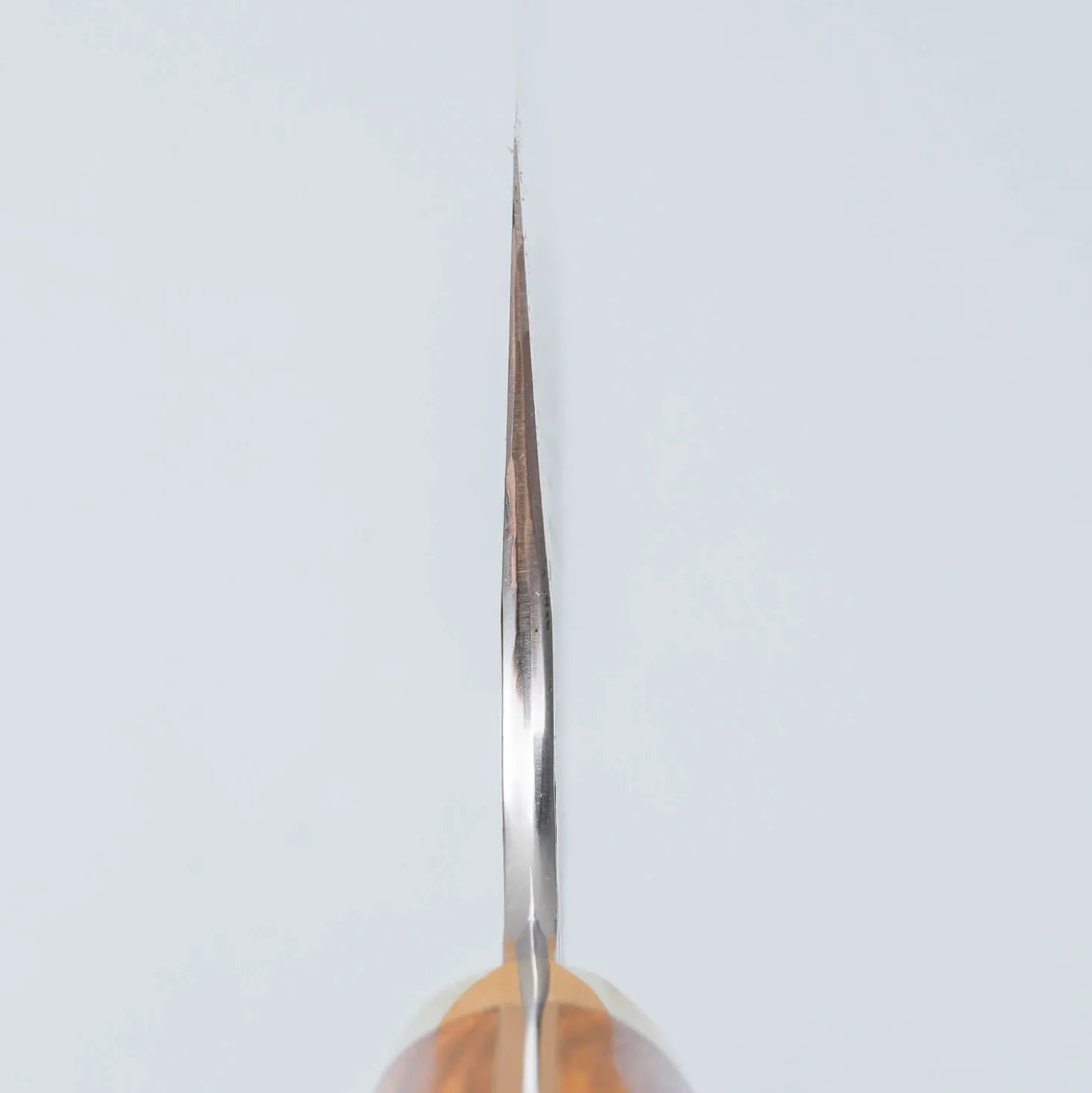 Nigara SG2 Tsuchime Kurouchi Ironwood Kiritsuke 24 cm