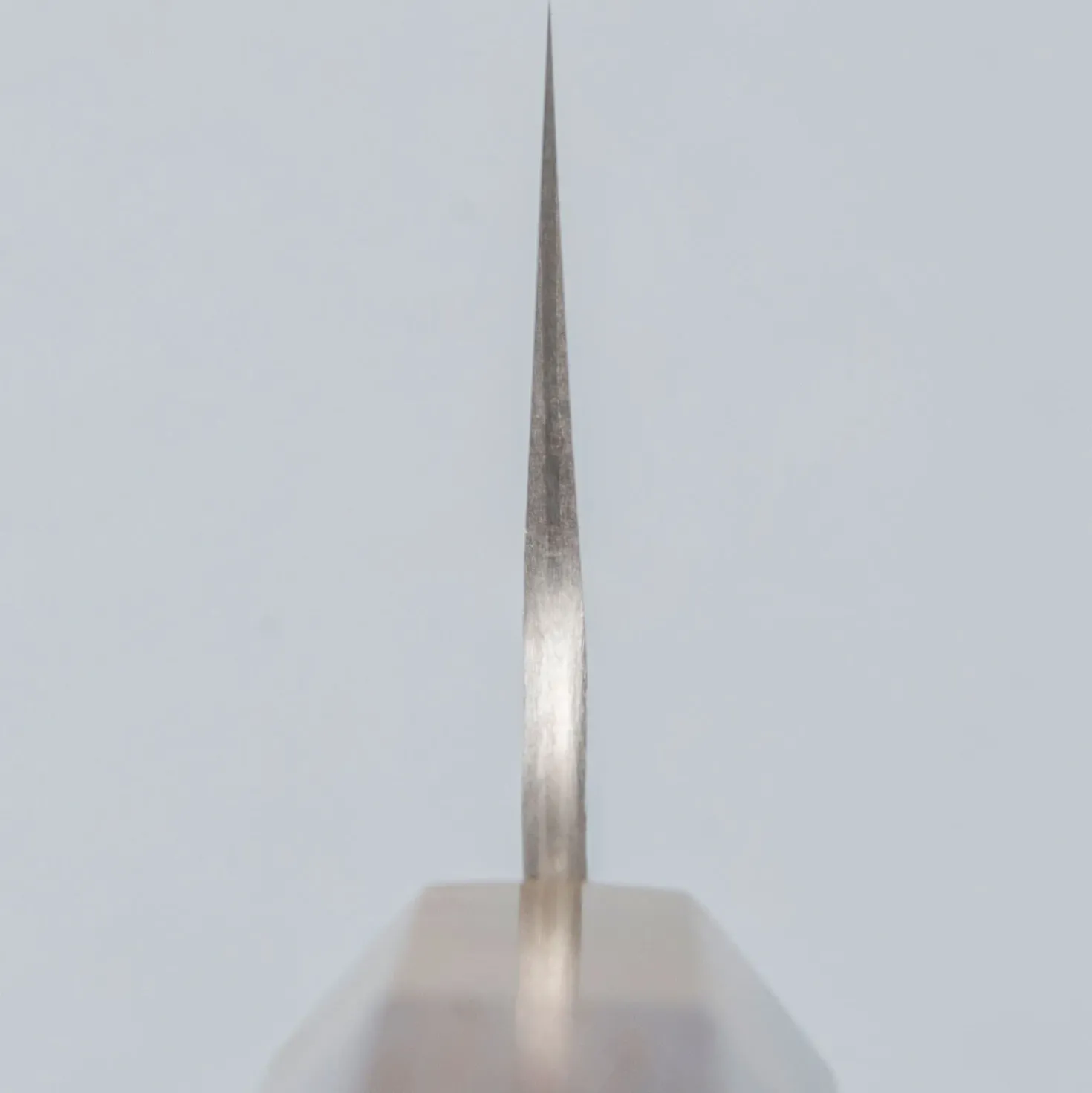 Nigara STRIX Tsuchime Migaki Rosewood Gyuto 21 cm