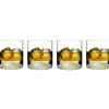 Nude Club Ice Whiskeyglazen 4 stuks