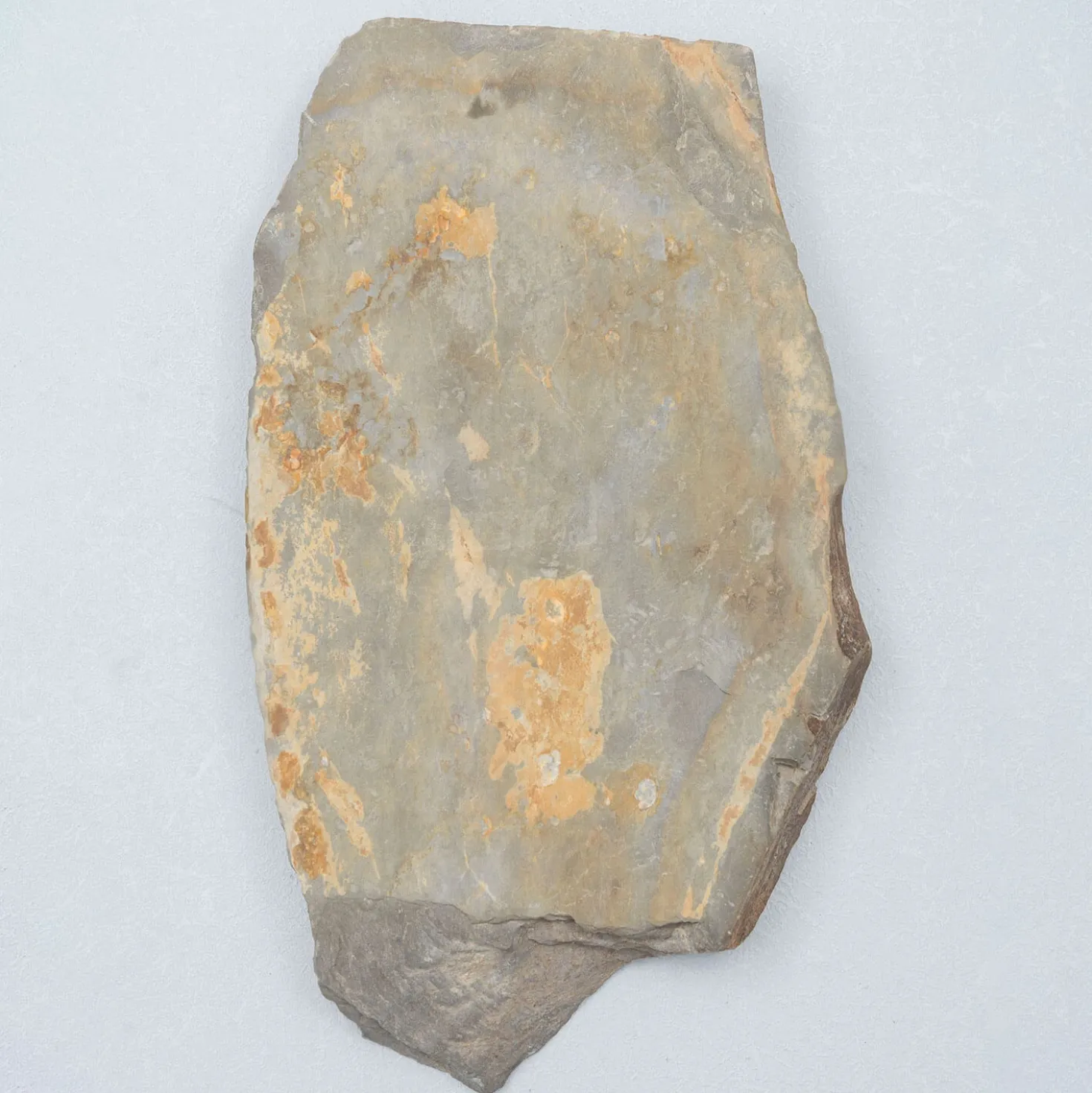 Ohira Koppa Medium / Soft 22 x 11 x 2 cm