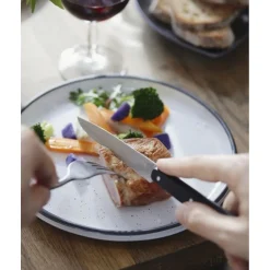Opinel Pro Tafelmessen Nr 125 Pro Zwart