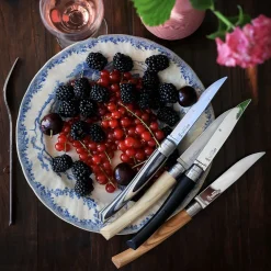 Opinel Table Chic Tafelmessenset Gemixed Hout (4-delig)