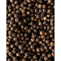 Peugeot Kampot Zwarte Peperkorrels (60 gram)