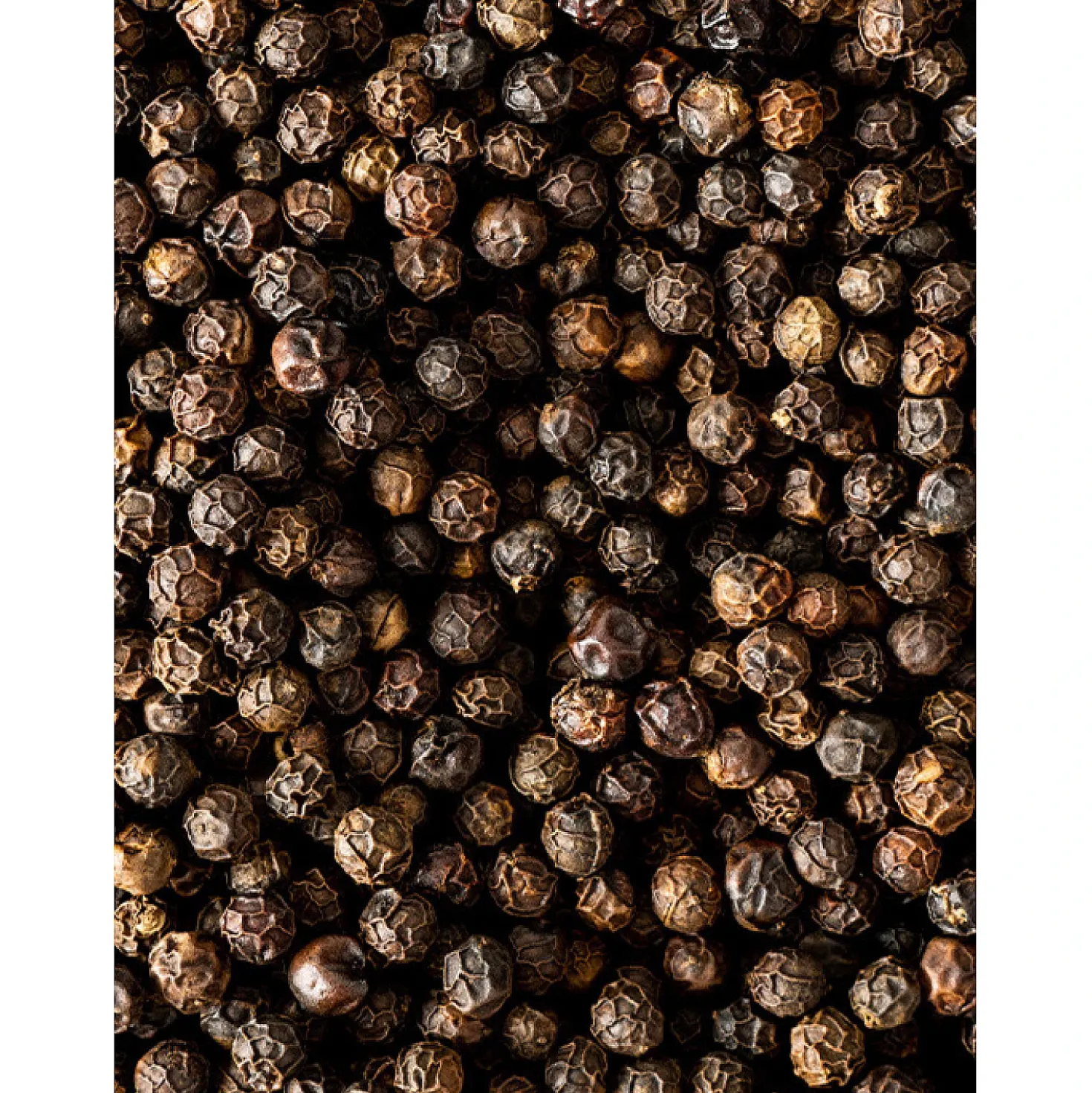 Peugeot Kampot Zwarte Peperkorrels (60 gram)