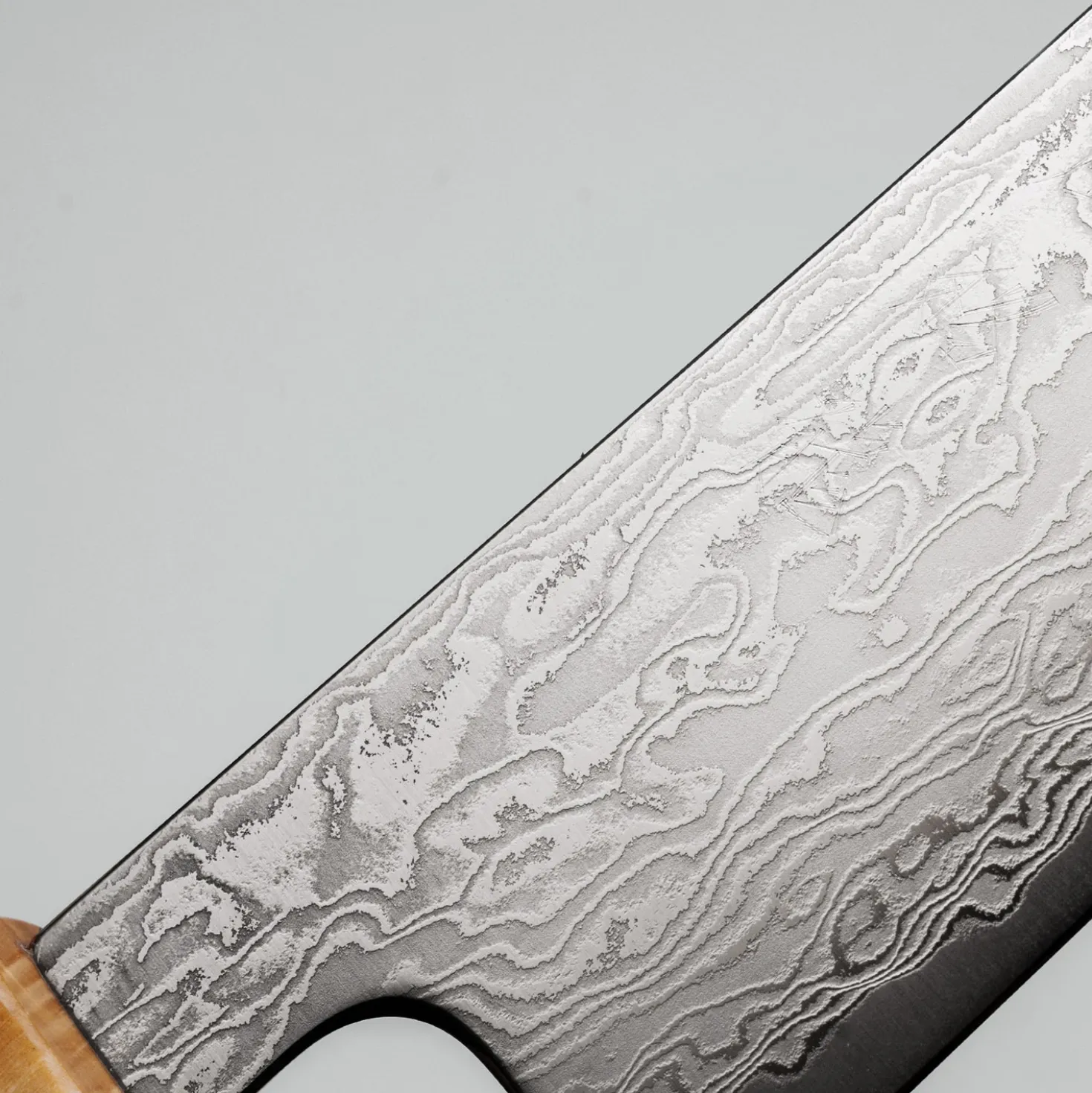 Ryusen Fukakuryu Birch Gyuto 24 cm