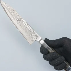 Ryusen Oukokuryu OK-202 SG2 Gyuto 21 cm