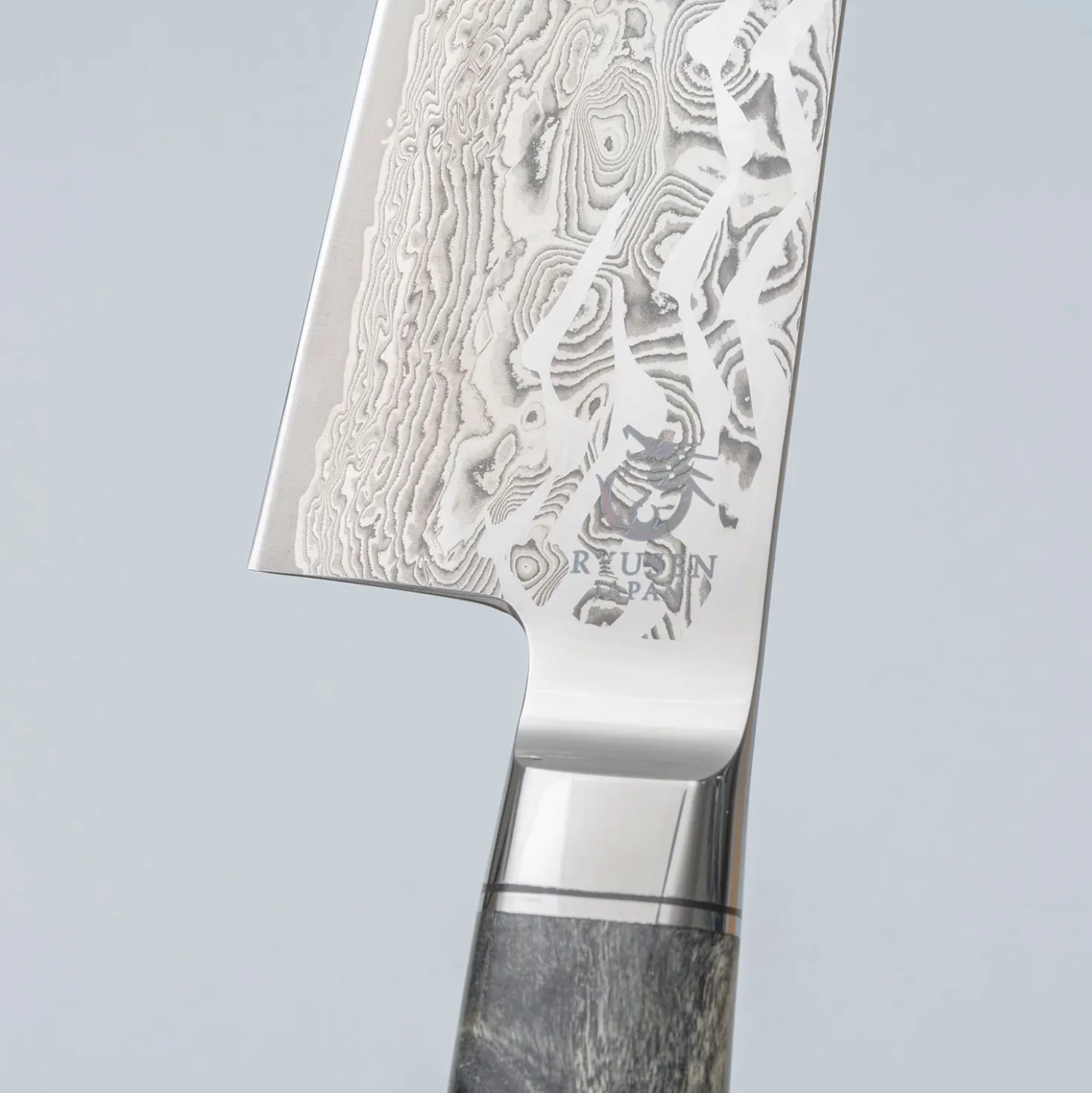Ryusen Oukokuryu SG2 Gyuto 24 cm