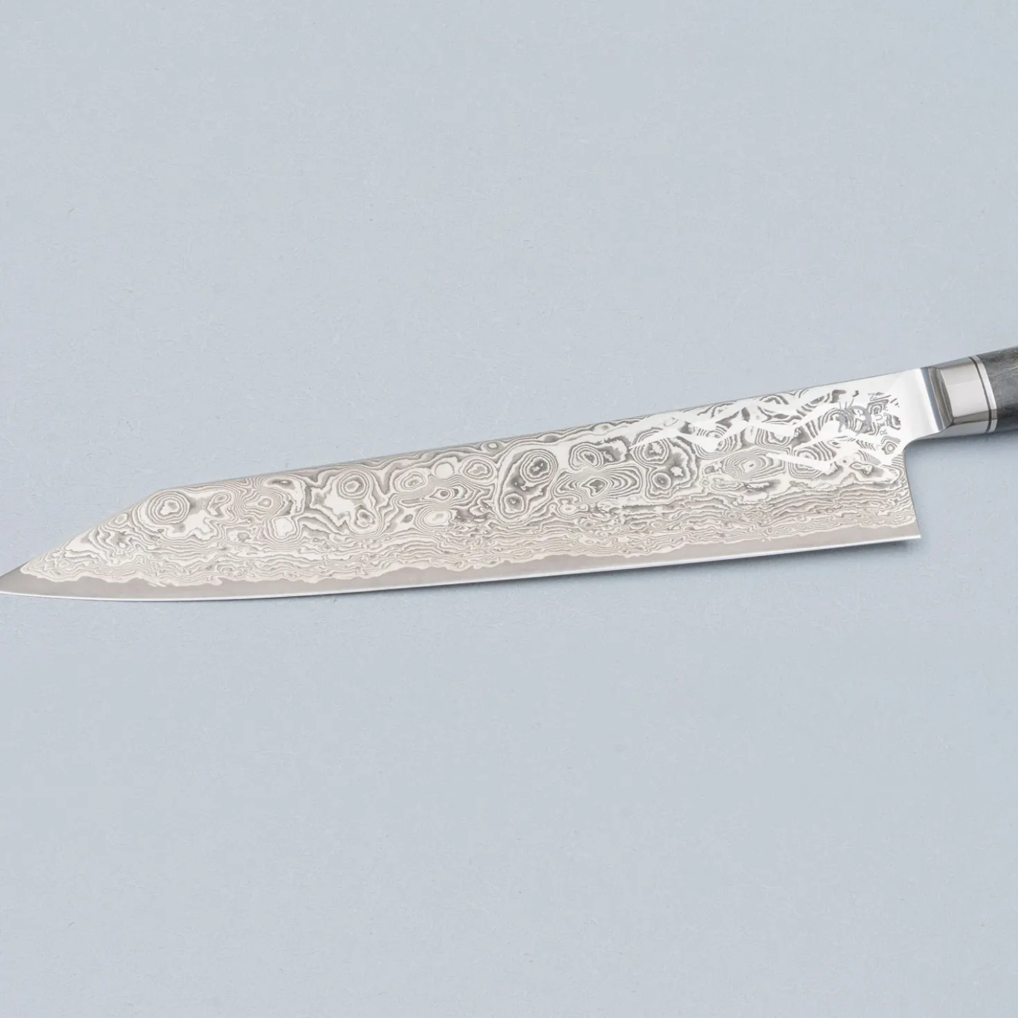 Ryusen Oukokuryu SG2 Gyuto 24 cm