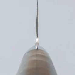 Ryusen Oukokuryu SG2 Gyuto 24 cm