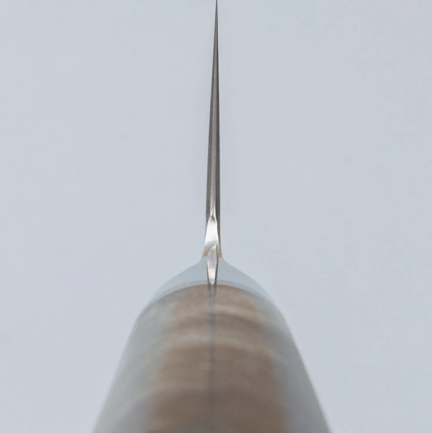 Ryusen Oukokuryu SG2 Gyuto 24 cm