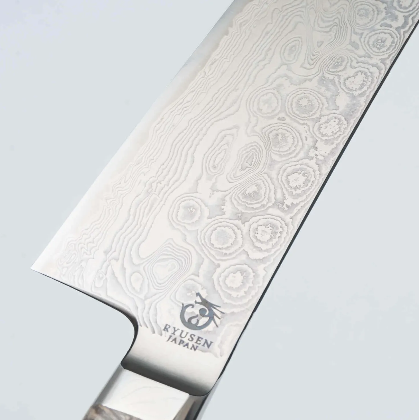 Ryusen Oukokuryu SG2 Gyuto 21 cm