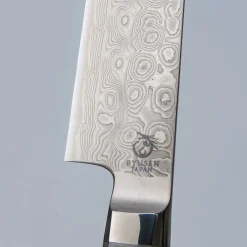 Ryusen Oukokuryu SG2 Sujihiki 26 cm