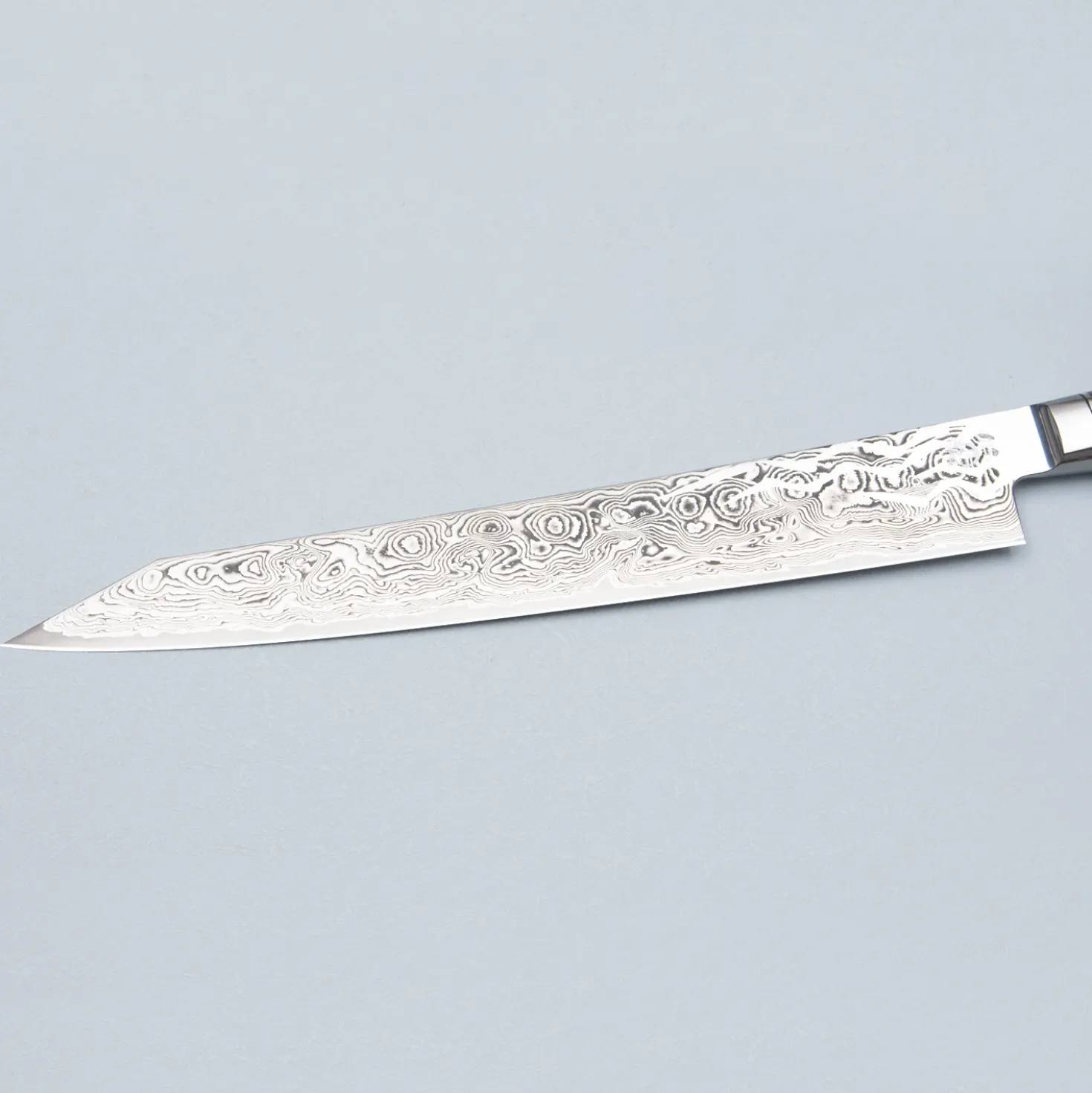 Ryusen Oukokuryu SG2 Sujihiki 25.5 cm