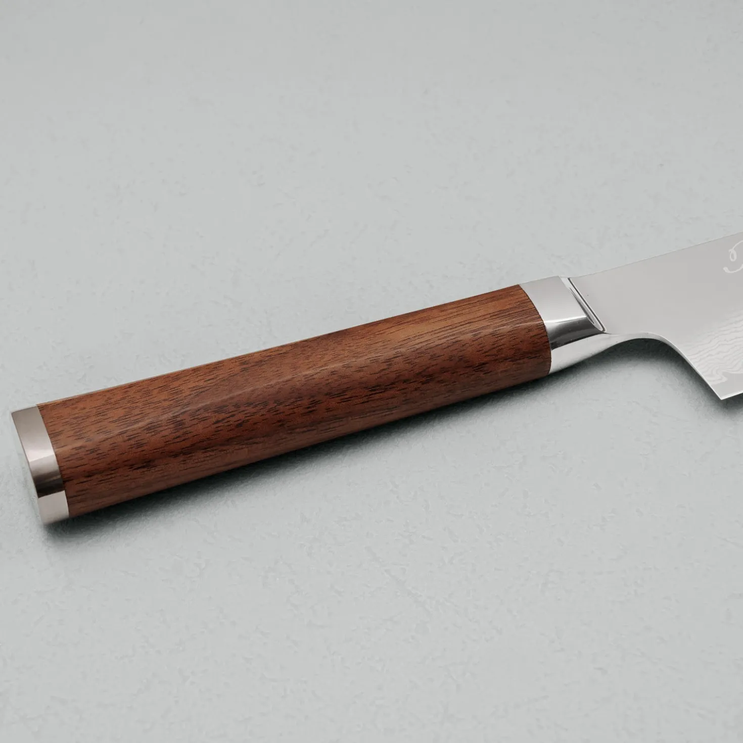 Ryusen Prever Gyuto 24 cm