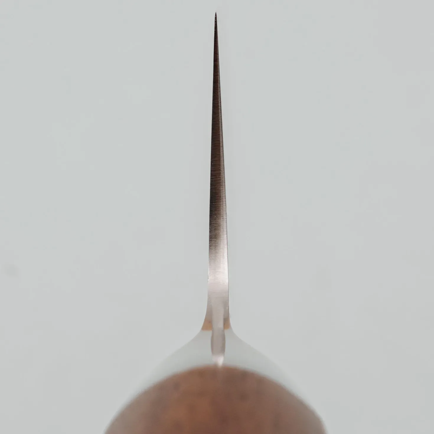 Ryusen Prever Gyuto 24 cm