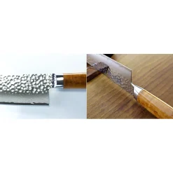 Ryusen Tanganryu Maple Broodmes 21 cm
