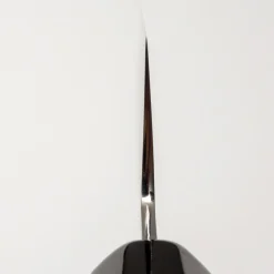 Sakai Kanechika AUS10 Gyuto 210 Linkshandig
