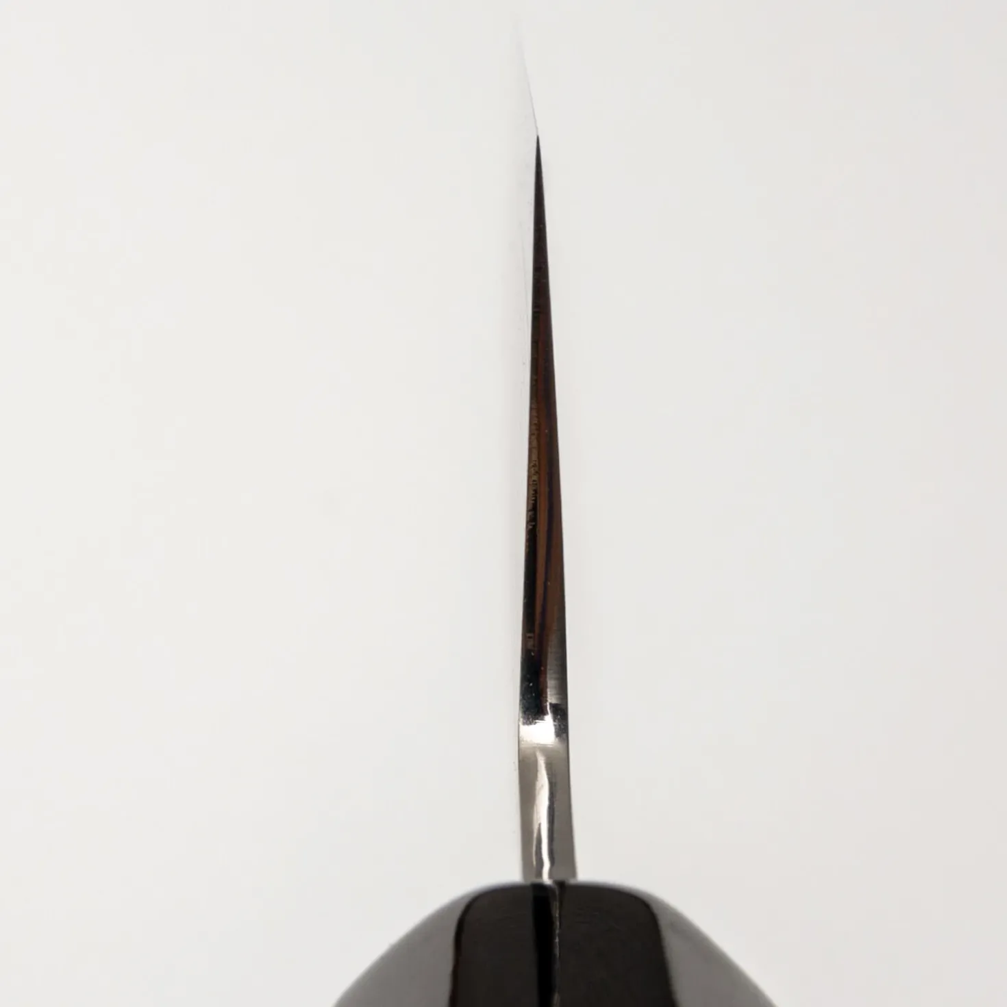 Sakai Kanechika AUS10 Gyuto 210 Linkshandig