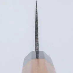 Sakai Takayuki Aogami#2 Nakiri 17 cm