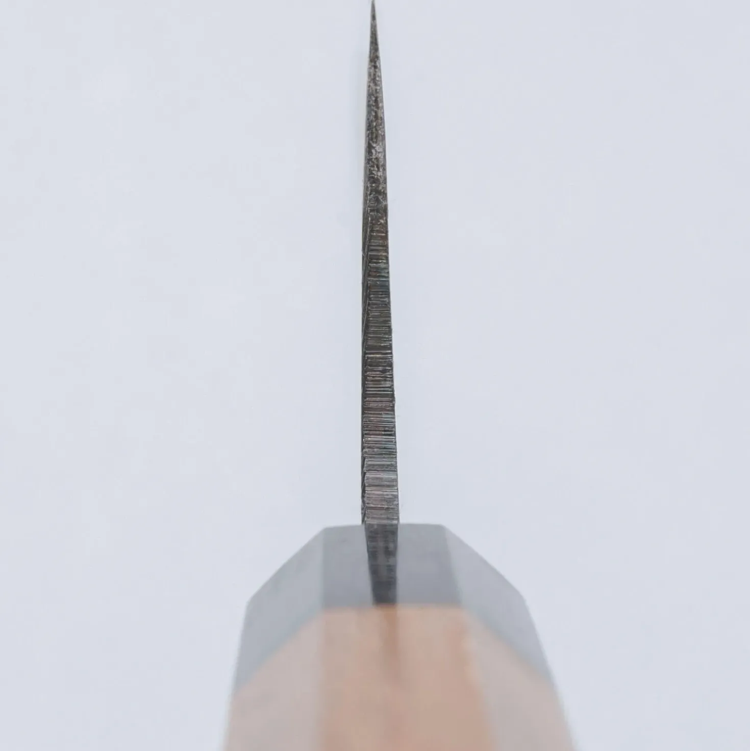 Sakai Takayuki Aogami#2 Nakiri 17 cm